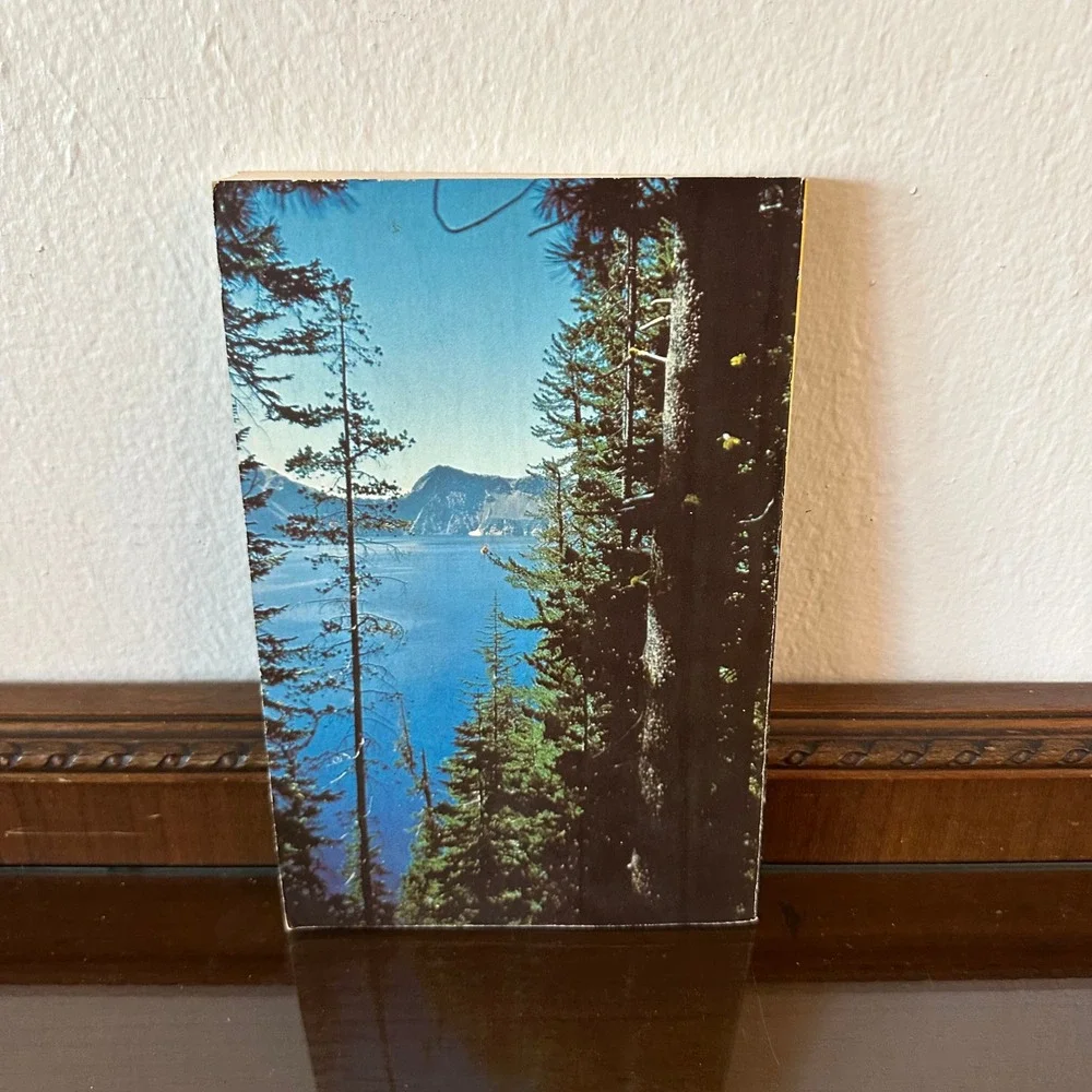 Vintage 1973 National Park Service Cookbook What's Cooking in Our National Parks